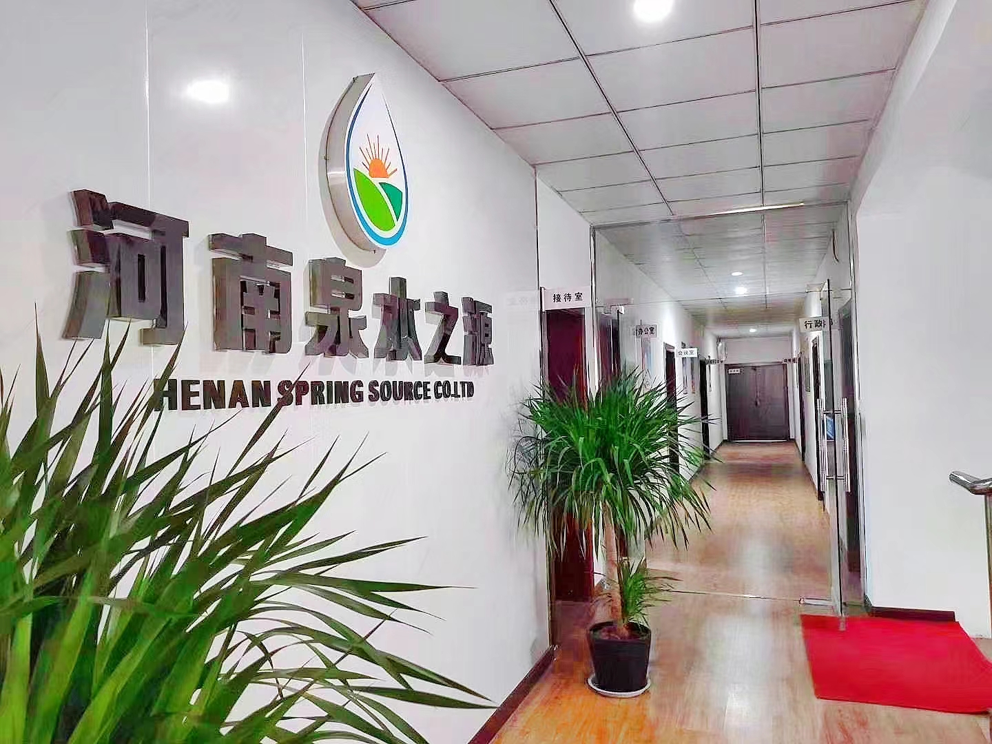 公司實(shí)拍